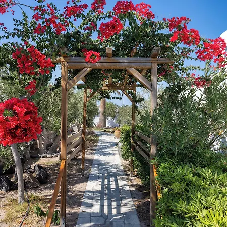 Отель Anema Boutique & Santorini 4*