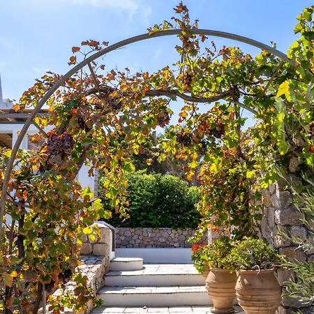 Anema Boutique & Santorini 4* Vourvoulos