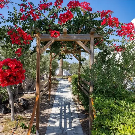 Hotel Anema Boutique & Santorini 4*